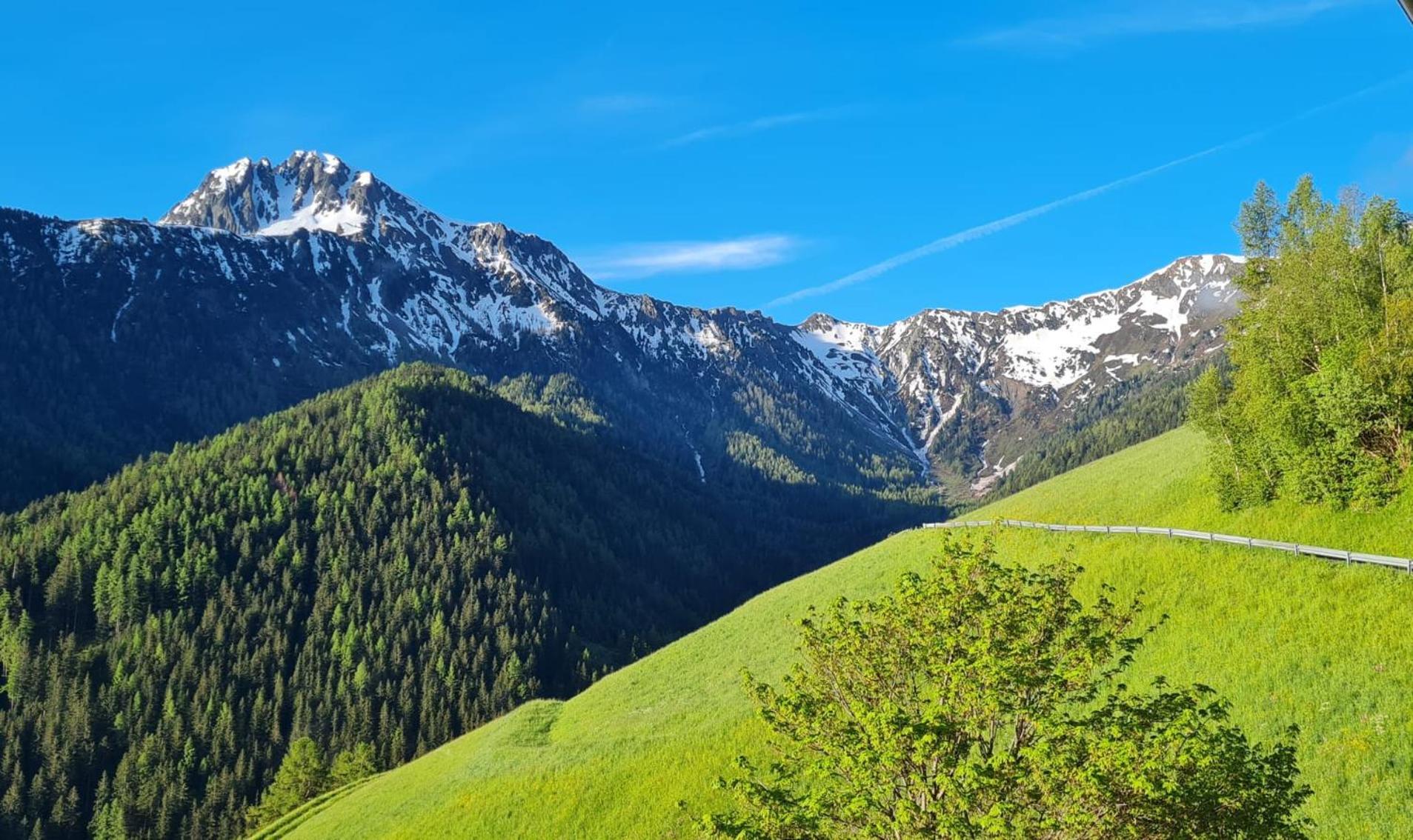 Gasserhof Campo di Trens Luaran gambar