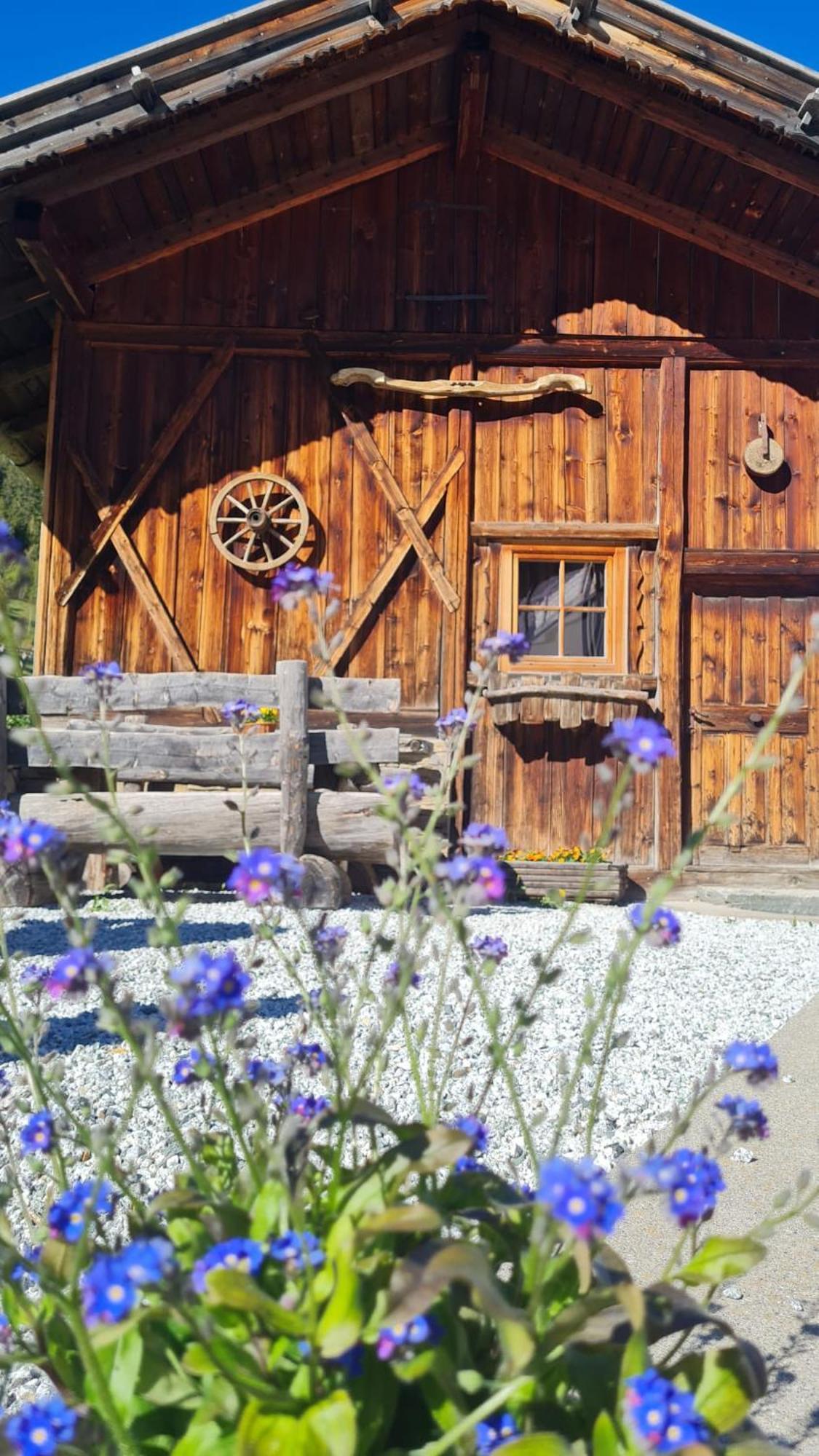 Gasserhof Campo di Trens Luaran gambar