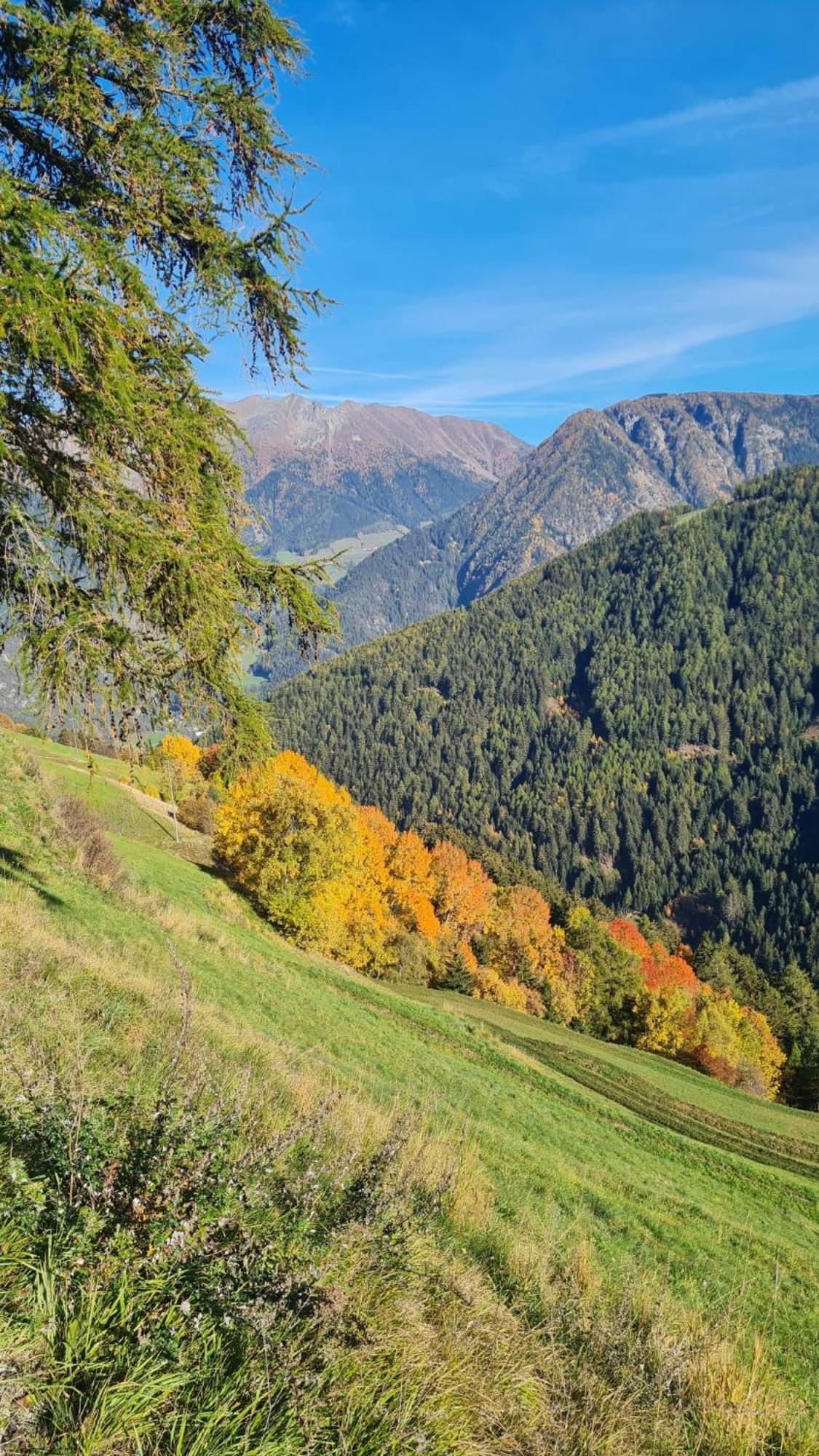 Gasserhof Campo di Trens Luaran gambar